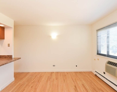 540 W. Roscoe, Unit C085 - Photo Thumbnail 10