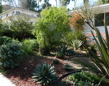 4627 Presidio Dr - Photo Thumbnail 3