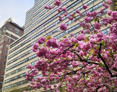 1810 Rittenhouse Sq - Photo Thumbnail 8