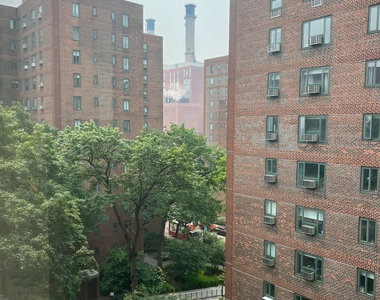 StuyTown - Photo Thumbnail 7