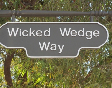 165 Wicked Wedge Way - Photo Thumbnail 44