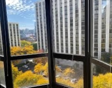 1001 N Lasalle 807 - Photo Thumbnail 6