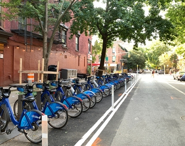 Cumberland Street @ Fort Greene Park - Photo Thumbnail 7