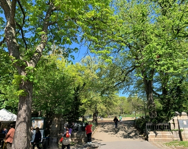 Cumberland Street @ Fort Greene Park - Photo Thumbnail 8