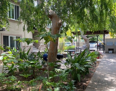 585 Cassia Street - Photo Thumbnail 11