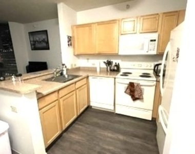 222 N Columbus Drive - Photo Thumbnail 3