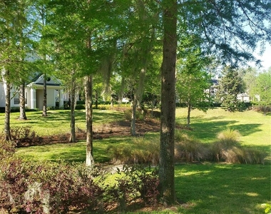 330 Southern Pecan Circle - Photo Thumbnail 35