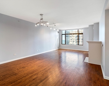 530 N Lake Shore Drive - Photo Thumbnail 4