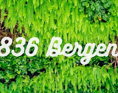 836 Bergen St - Photo Thumbnail 8