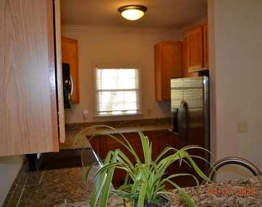 4506 Mistiflower Drive - Photo Thumbnail 11