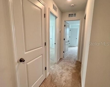 17711 Japonica Bloom Drive - Photo Thumbnail 24