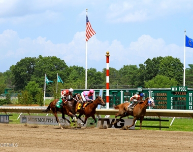 20 Steeple Chase Court - Photo Thumbnail 25