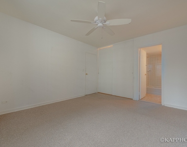 253 E Delaware Place - Photo Thumbnail 13