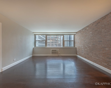 253 E Delaware Place - Photo Thumbnail 1