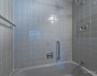 253 E Delaware Place - Photo Thumbnail 15