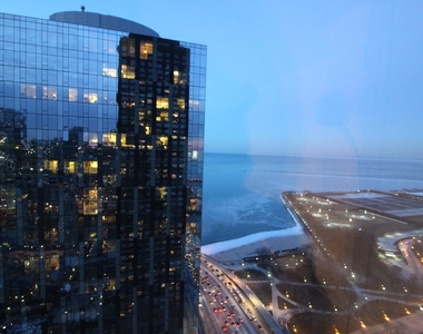 474 N Lake Shore Drive - Photo Thumbnail 4