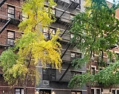 342 East 55th Street - Photo Thumbnail 6