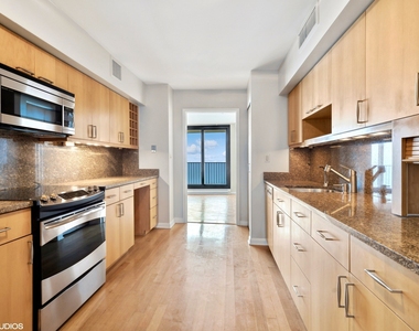 1212 N Lake Shore Drive - Photo Thumbnail 13