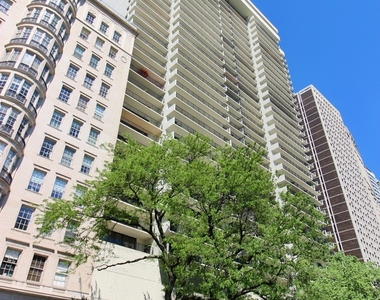 1212 N Lake Shore Drive - Photo Thumbnail 6