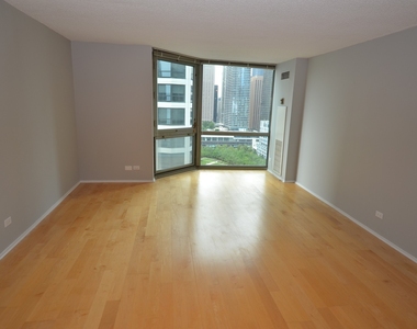 195 N Harbor Drive - Photo Thumbnail 9