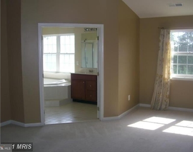 22584 Scattersville Gap Terrace - Photo Thumbnail 15