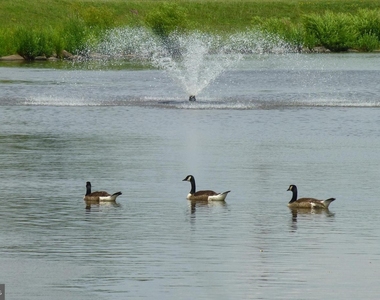 13222 Goose Pond Ln - Photo Thumbnail 14