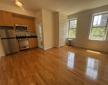 West 13th Street - Photo Thumbnail 3