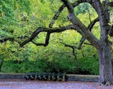 UWS/Amsterdam Avenue  - Photo Thumbnail 9