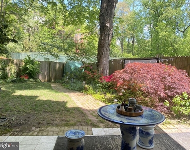 4201 Cathedral Ave Nw - Photo Thumbnail 29