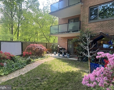 4201 Cathedral Ave Nw - Photo Thumbnail 27