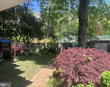 4201 Cathedral Ave Nw - Photo Thumbnail 26