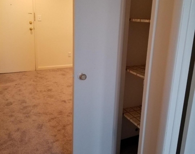 817 Ringwood Ave - Photo Thumbnail 5
