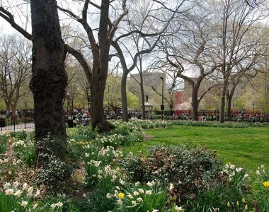 166 Second Avenue - Photo Thumbnail 12