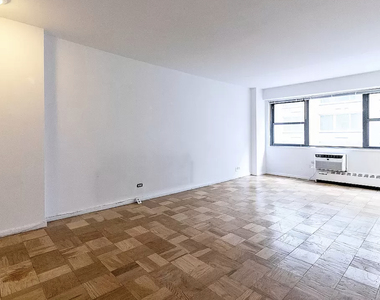 330 East 46th Street - Photo Thumbnail 1
