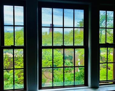 80 Cranberry Street - Photo Thumbnail 7