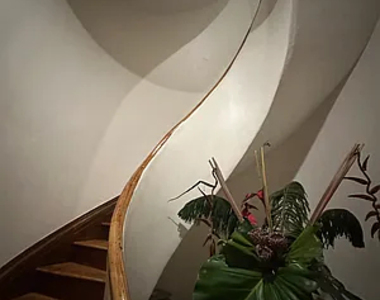 9 St Marks Place - Photo Thumbnail 17