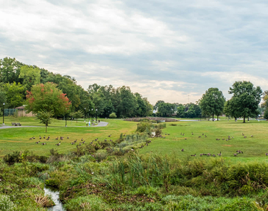 1300 Cook Lane - Photo Thumbnail 20