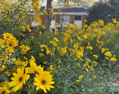 2513 Vail Avenue - Photo Thumbnail 11