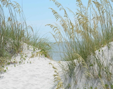 704 Ocean Front - Photo Thumbnail 40
