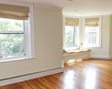 319 Marlborough St - Photo Thumbnail 11