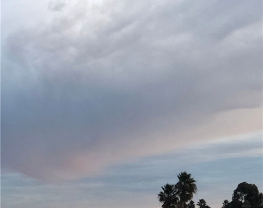 2869 Doheny Way - Photo Thumbnail 36