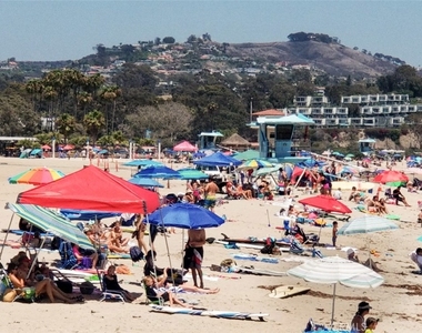 2869 Doheny Way - Photo Thumbnail 60