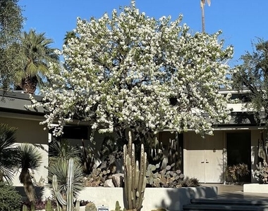 40471 Sand Dune Road - Photo Thumbnail 3