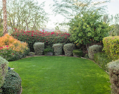 54155 Cananero Circle - Photo Thumbnail 44