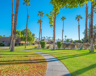 28984 Desert Princess Drive - Photo Thumbnail 12
