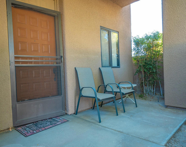 28984 Desert Princess Drive - Photo Thumbnail 16