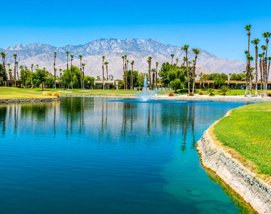 28859 Desert Princess Drive - Photo Thumbnail 28