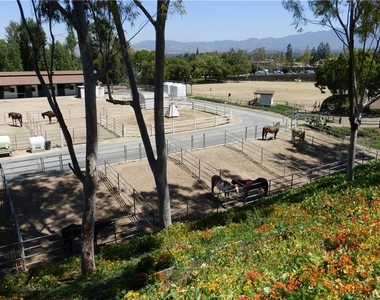 3249 San Amadeo - Photo Thumbnail 44