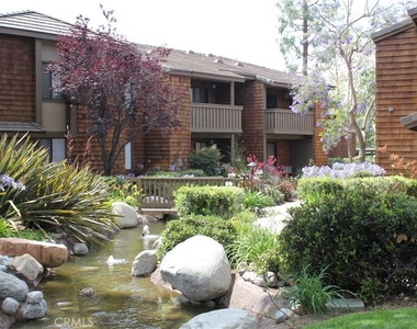 33852 Del Obispo Street - Photo Thumbnail 2