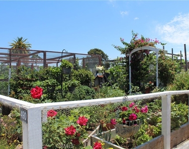 546 Via Estrada - Photo Thumbnail 21